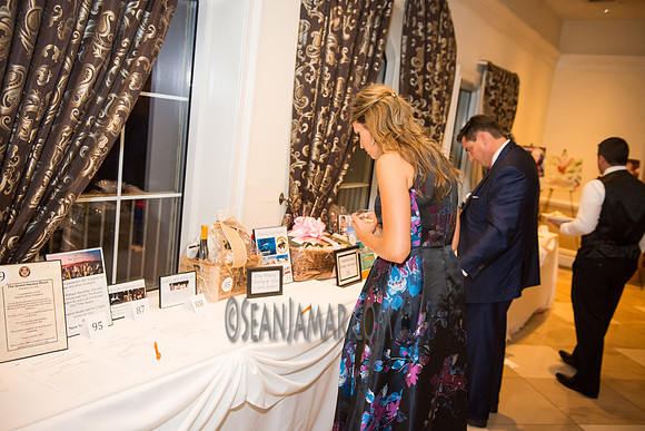 Heart of Gold Gala - The Fiesta - Woodridge NJ - 2016
