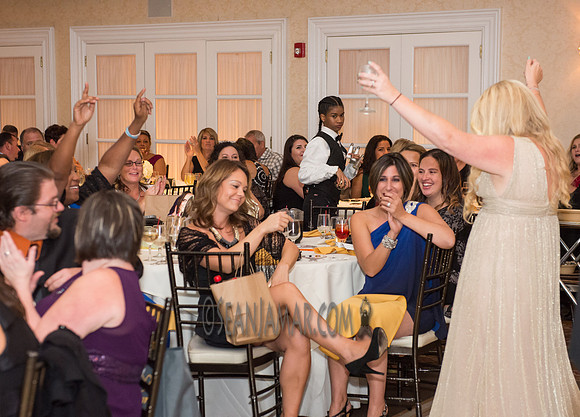 Heart of Gold Gala - The Fiesta - Woodridge NJ - 2016