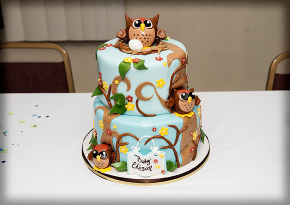 Cynthia Pedroza Baby Shower - The Russian Hall - Little Falls NJ