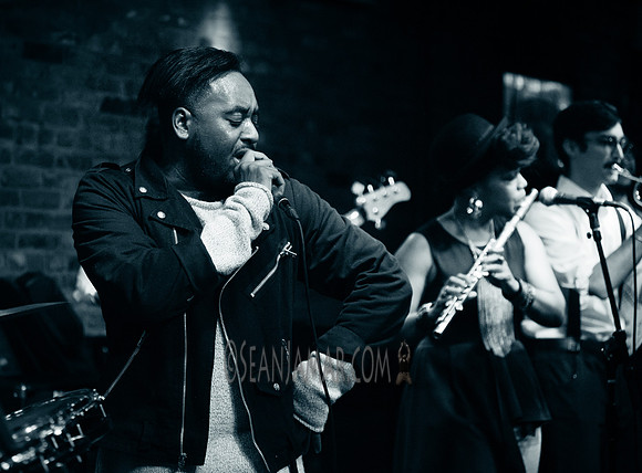 Water Seed - The Bitter End - NYC - 2016