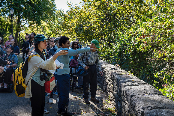 CPF Green Fund - NYC Bird Alliance Accessible Birding - Ft Tryon