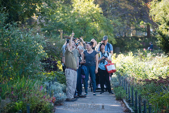 CPF Green Fund - NYC Bird Alliance Accessible Birding - Ft Tryon