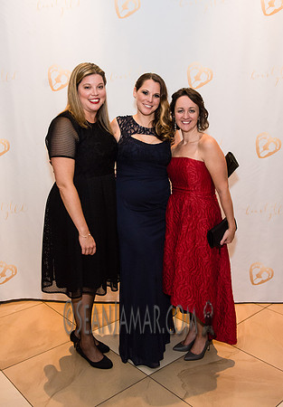 Heart of Gold Gala - The Fiesta - Woodridge NJ - 2016