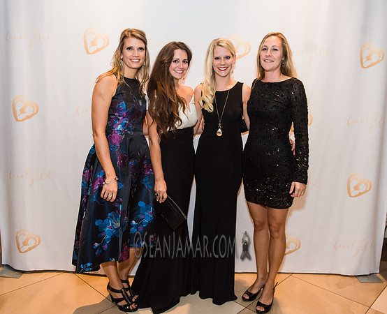 Heart of Gold Gala - The Fiesta - Woodridge NJ - 2016