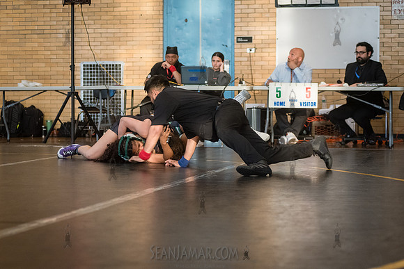 PSAL Girls Team Wrestling Championship - Grover Cleveland HS - N