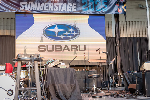 NYC SummerStage - Blacktronica Festival - Marcus Garvey Park - N