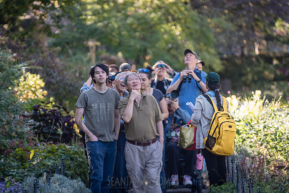 CPF Green Fund - NYC Bird Alliance Accessible Birding - Ft Tryon