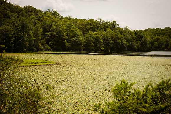 Adventure Day - Ramapo Mountain State Forest - Oakland NJ - 2015