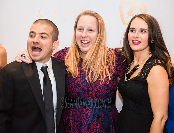 Heart of Gold Gala - The Fiesta - Woodridge NJ - 2016