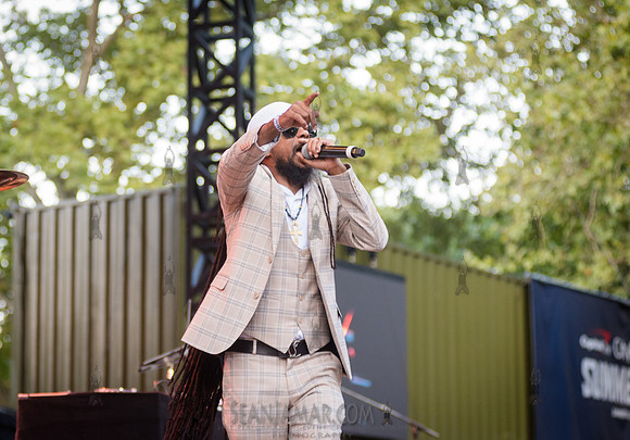 DJ Lionface - CPF SummerStage - VP Recprds 45th Anniversary - Ru