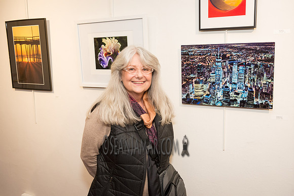 TCC - Through Our Eyes - Sandy Bennett Art Gallery - Bergen PAC - Englewood NJ - 2018