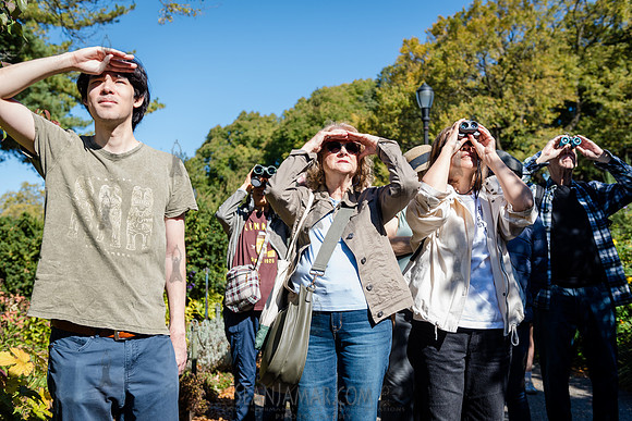 CPF Green Fund - NYC Bird Alliance Accessible Birding - Ft Tryon
