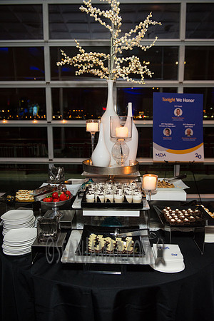 MDA 20th Anniversary Muscle Team Gala - Pier 60 Chelsea Piers - NYC - 2017