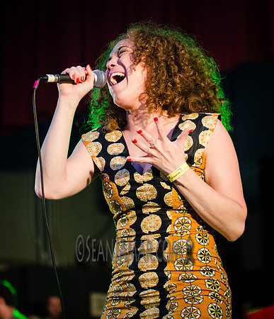 Kendra Foster - Soul In The Horn Summer Stage - Herbert von King Park - BK USA - 2016