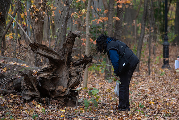 CPF Learn - Seeds To Trees - Prospect Park - NYC - 2024