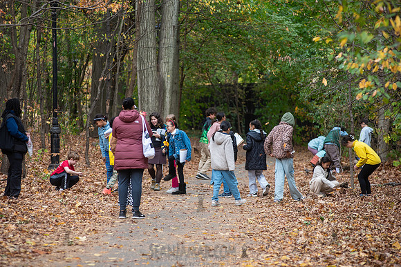 CPF Learn - Seeds To Trees - Prospect Park - NYC - 2024