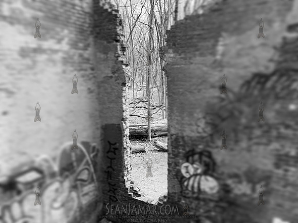 Ramapo Valley County Reservation