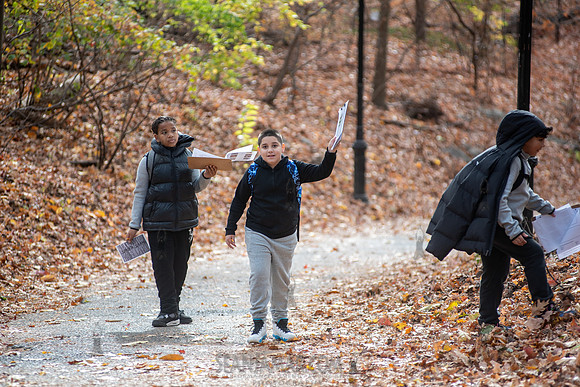 CPF Learn - Seeds To Trees - Prospect Park - NYC - 2024