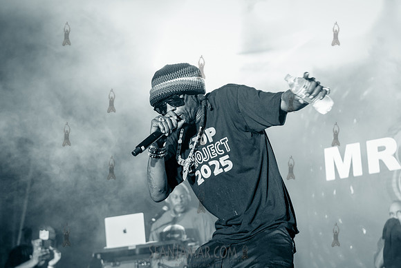 CPF SummerStage - Chuck Chillout 40th Radio Anniv - Crotona Park