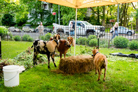Riverside Park Conservancy - Riverside Revue Gala - Sakura Pak -