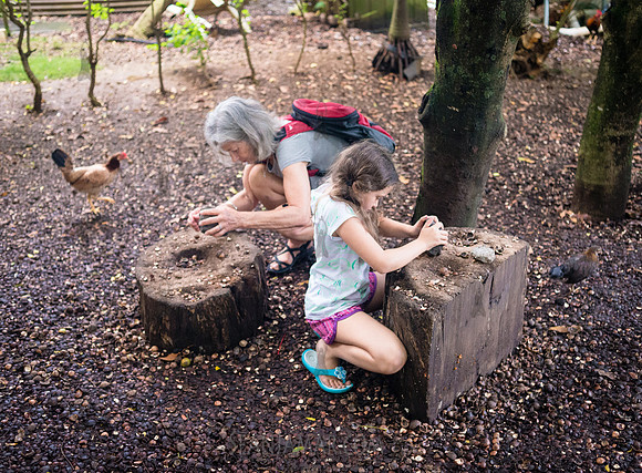 Tropical Farms Macadamia Nuts - Adventure Day - Oahu Hawaii - 2018