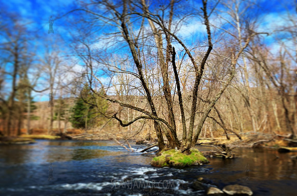 Ramapo Valley County Reservation