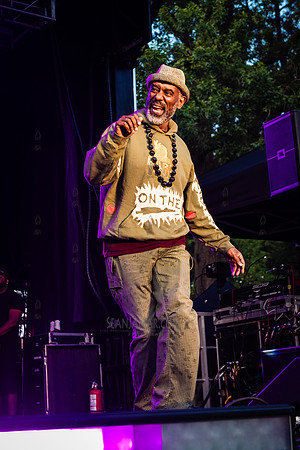Strafe - NYC SummerStage - Doug E Fresh + Funk Flex Hip Hop Appr
