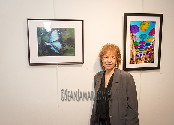TCC - Through Our Eyes - Sandy Bennett Art Gallery - Bergen PAC - Englewood NJ - 2018