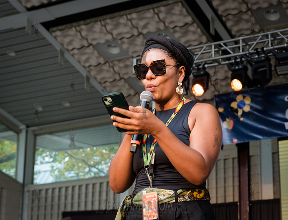 NYC SummerStage - Blacktronica Festival - Marcus Garvey Park - N