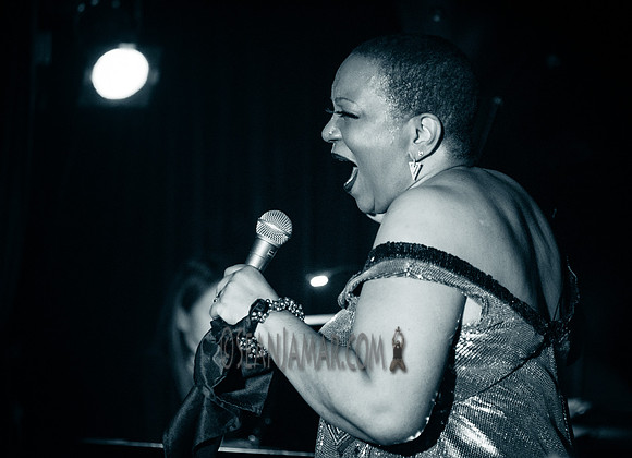 Ms Blu - Zinc Bar - NYC - 2017