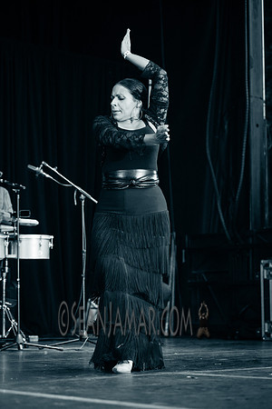 Nelida Tirado - Made in the Bronx presented by BAAD - St Marys Park - BX NYC - 2017