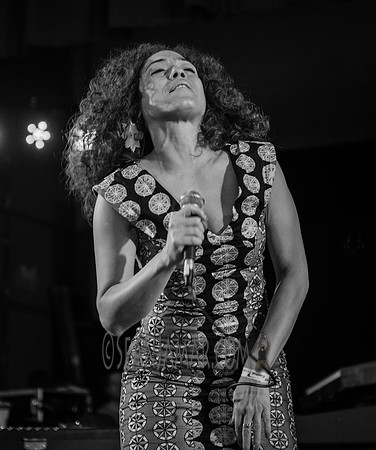 Kendra Foster - Soul In The Horn Summer Stage - Herbert von King Park - BK USA - 2016