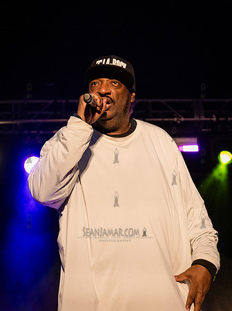 T La Rock - NYC SummerStage - Doug E Fresh + Funk Flex Hip Hop A