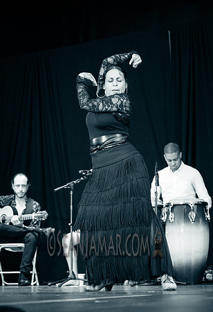 Nelida Tirado - Made in the Bronx presented by BAAD - St Marys Park - BX NYC - 2017