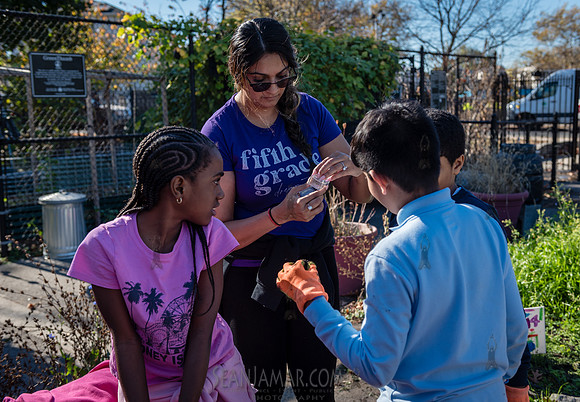 CPF Learn - Learning Gardens Liberty Learning Garden - NYC - 202