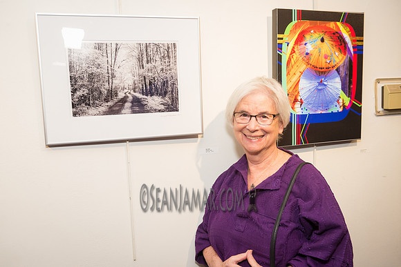TCC - Through Our Eyes - Sandy Bennett Art Gallery - Bergen PAC - Englewood NJ - 2018