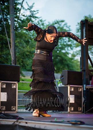 Nelida Tirado - Made in the Bronx presented by BAAD - St Marys Park - BX NYC - 2017