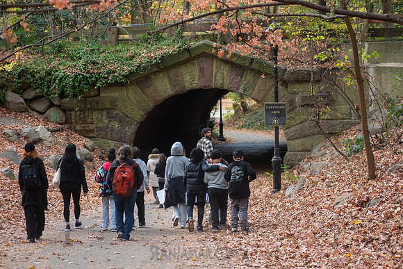 CPF Learn - Seeds To Trees - Prospect Park - NYC - 2024