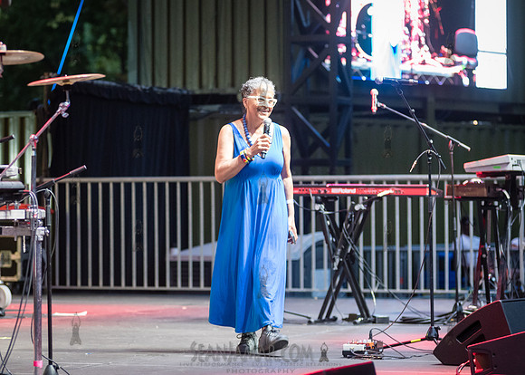 CPF SummerStage - VP Recprds 45th Anniversary - Rumsey Playfield