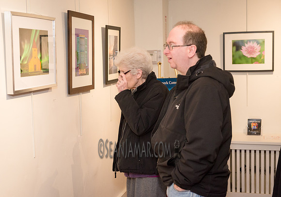 TCC - Through Our Eyes - Sandy Bennett Art Gallery - Bergen PAC - Englewood NJ - 2018
