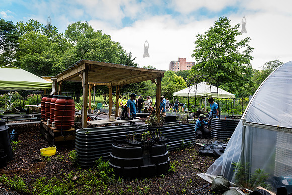NYC Green Fund - Van Cortlandt Park Alliance Intern Training - V