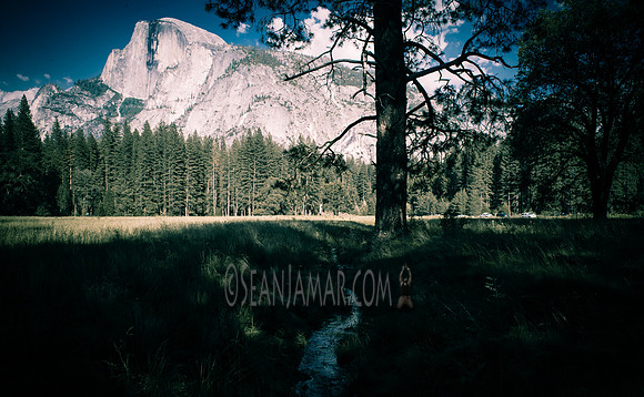 Adventure Day - Yosemite National Park - Yosemite Valley CA - 2017