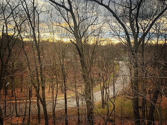 Rifle Camp Park