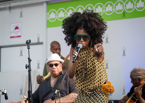 Sista Zock - NYC SummerStage - Gil Scott Heron Tribute - St Mary
