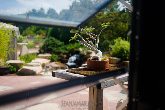 Adventure Day Colorado - Denver Botanical Garden - Denver Co - 2018