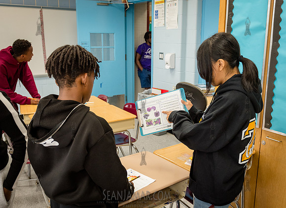 CPF Learn - Learning Gardens - Success Garden - NYC - 2024