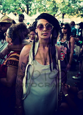 Afropunk Festival - Commodore Barry Park - BK USA - 2014