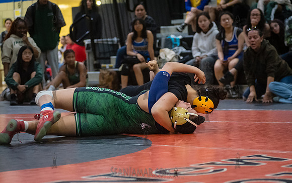 PSAL Girls Individual Championships - Harry S Truman HS - NYC -