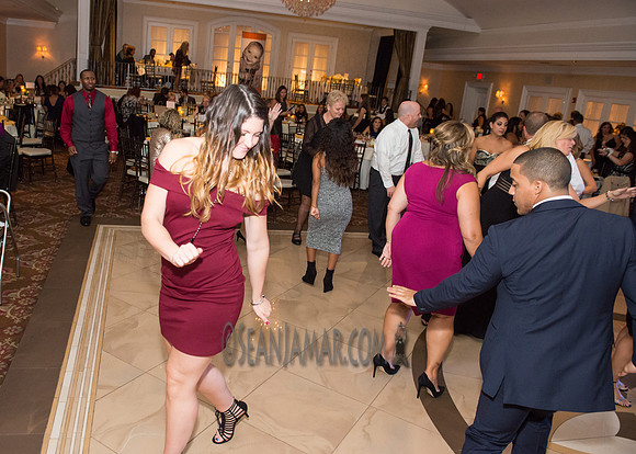 Heart of Gold Gala - The Fiesta - Woodridge NJ - 2016