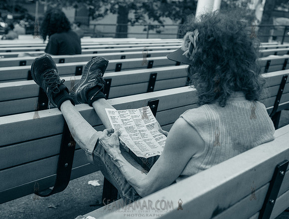 NYC SummerStage - Blacktronica Festival - Marcus Garvey Park - N